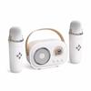 Karaoke tragbarer kabelloser Bluetooth-Lautsprecher mit Mikrofonmaschine Radio FM Caixa De Som Mini-Soundbox Musik kleine Säule Mp3