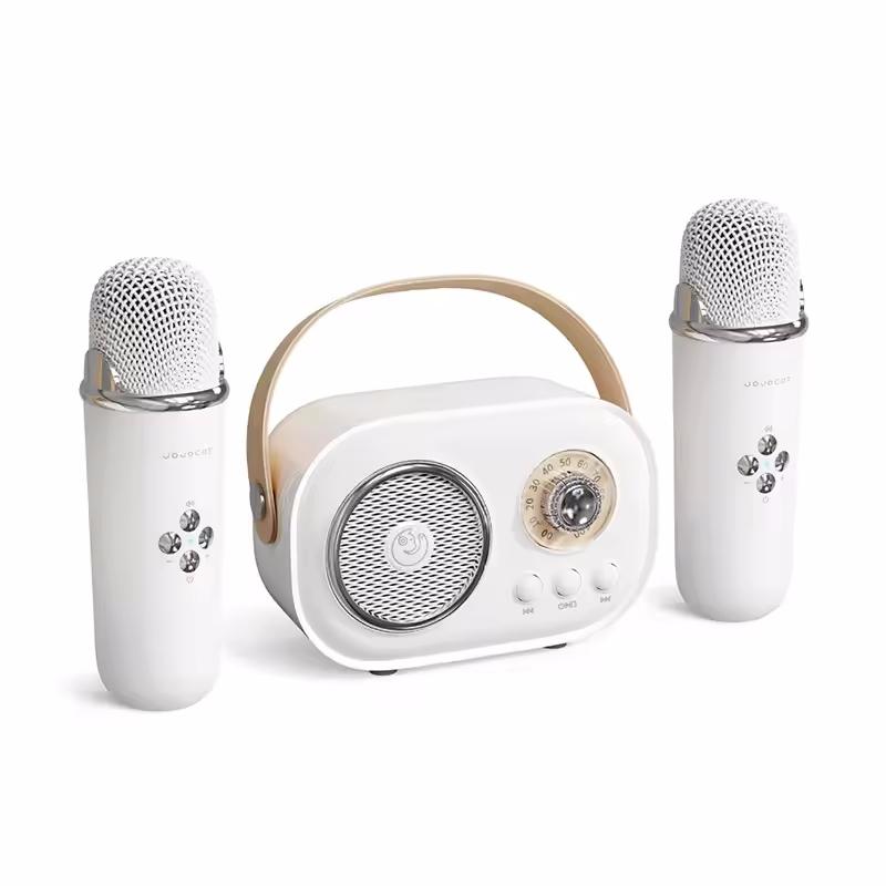 Karaoke tragbarer kabelloser Bluetooth-Lautsprecher mit Mikrofonmaschine Radio FM Caixa De Som Mini-Soundbox Musik kleine Säule Mp3