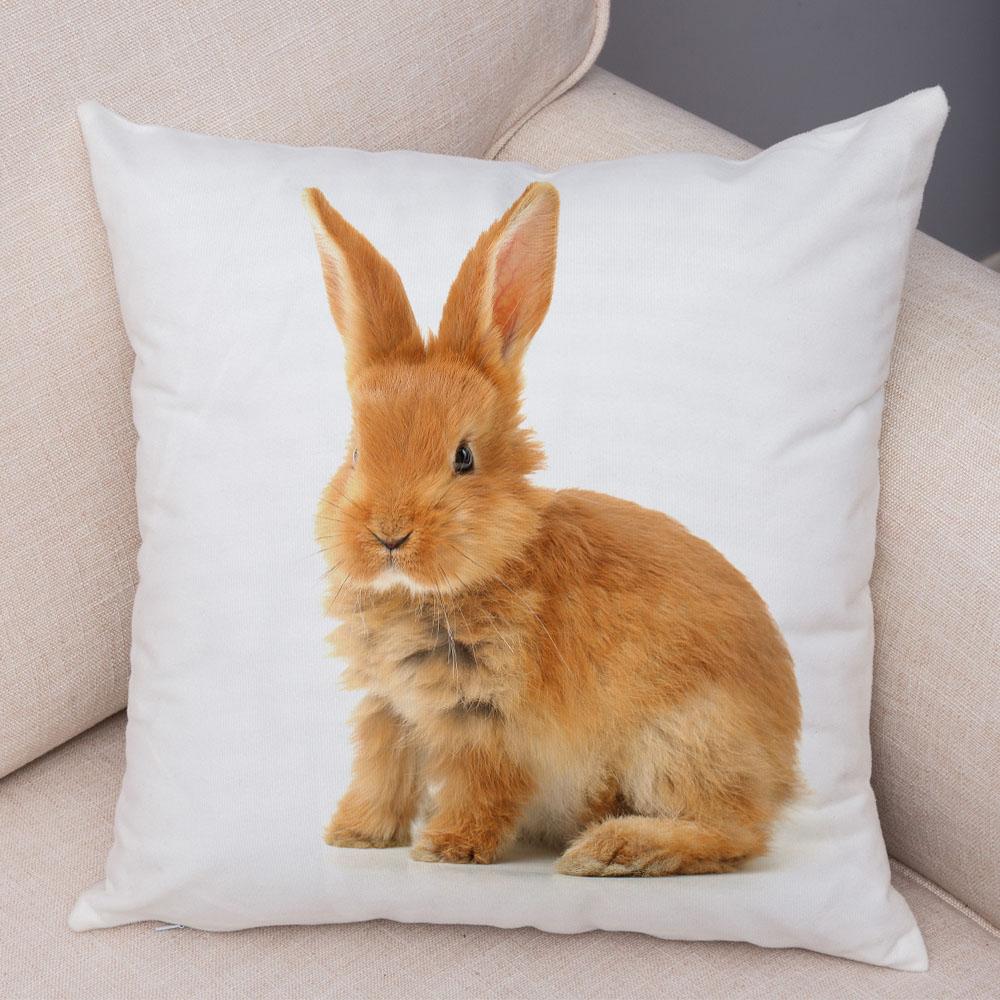Home Sofa Kids Room Decor Cute Pet Animal Print Cushion Cover Pillowcase  Rabbit