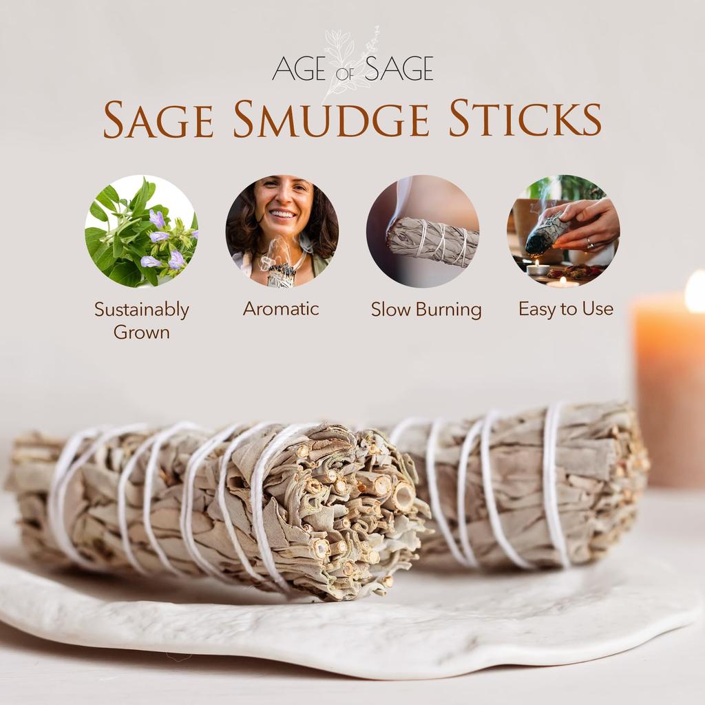 Age of Sage Weißer Salbei Räuchersticks - 10 cm lang, Packung mit 12 Stück - Kalifornischer Weißer Salbei Räucherwerk zum Reinigen von Haus & Geist