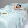 A-Class Dual Color Cool Ice Silk Summer Quilt, Washable Summer Single Double Bed Quilt Set for Student Dormitory
