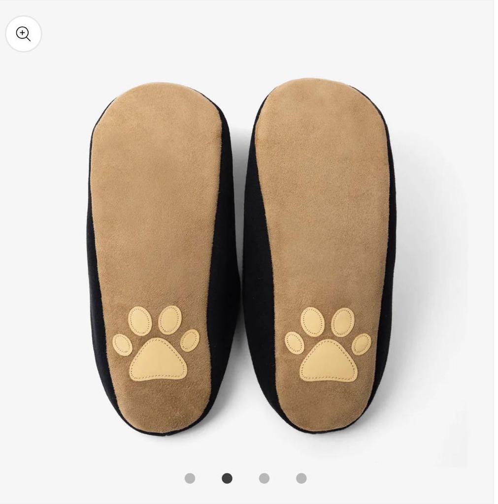 [USED] ROOM SHOES Room Shoes Slippers Papimu Seungmin