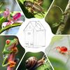 Spider Terrarium Escape-Proof Acrylic Habitat Isolation Tank Jumping Spider Terrarium for Family Friends Small Reptiles Animals