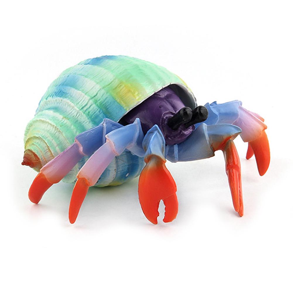 Puntos Kids Toy Simulation Hermit Crab Marine Animal PVC Model Desktop Decor Education