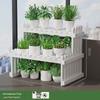 Tiered Desktop Succulent Stand