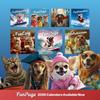 Chihuahua Calendar 2026 - Large 12 Month 2026 Wall Calendar - Month to View Dog Wall Planner Made by Fun Pets