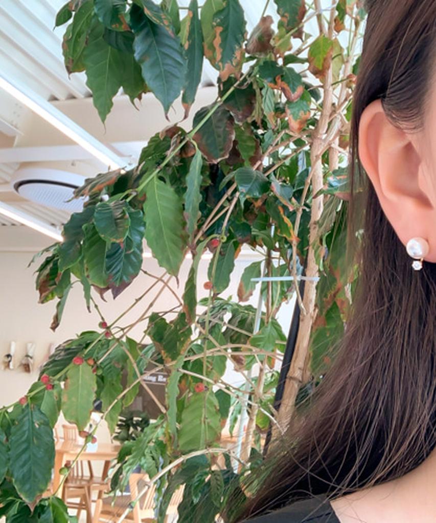Alleun Silver 925 Pearl Cubic Hanbok Namyang Earrings