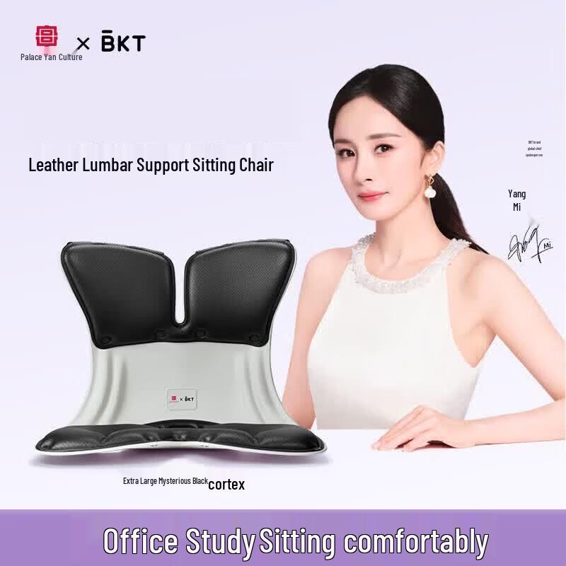 BKT Ergonomic Lumbar Support Posture Seat CN plug (adapter included)