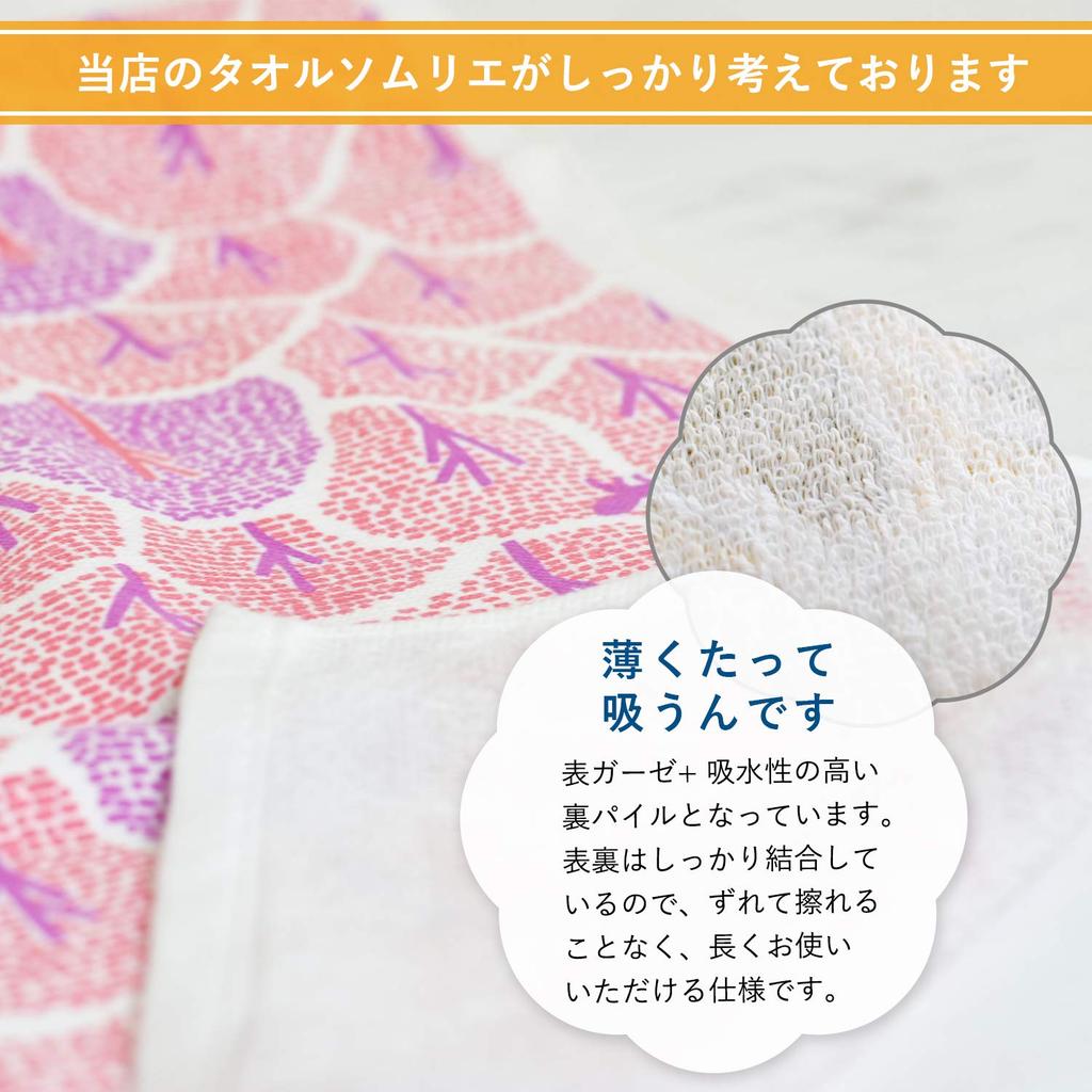 Transparan Gauze Face Palette Gauze Gauze Senshu Cotton Japanese-Made Towels, Towels, 5-Piece Set, Towels, Single-Sided Pile, Single-Sided Fabric,