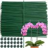 Plant Support Stakes with Orchid Plant Clips for Indoor and Outdoor Garden Tomato Rose Flower Holder Stick Supports Rod Tools