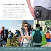 Winsuteki Pass case coin purse wallet card ticket holder expandable cord outdoor carabiner men women children compact (KB550 Black)