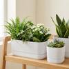 Double Layer Self Watering Flower Pot Plastic Flower Planter Hydroponics Plant Pot  Garden Supplies