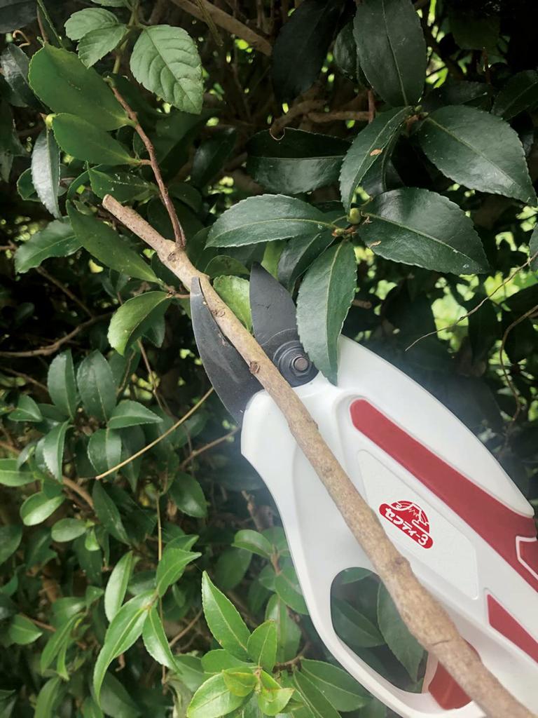 Rechargeable Pruning Shears for Garden Maximum Cutting Diameter Micro USB Cord Charging Safety-3 3.6V Trees, 10mm, SBH-1