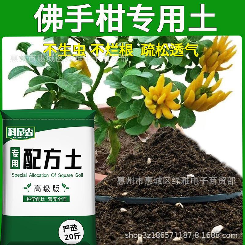 Bergamot Nutrient-Rich Potting Soil for Flowers, Vegetables & Succulents with Organic Fertilizer