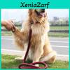 Chiens – Colliers et laisses pour chiens