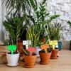 Etiquetas de Planta de Plástico Duraderas Impermeables Señales Marcadoras de Jardín para Maceta de Plántula Hierba Flor Verdura Identificación
