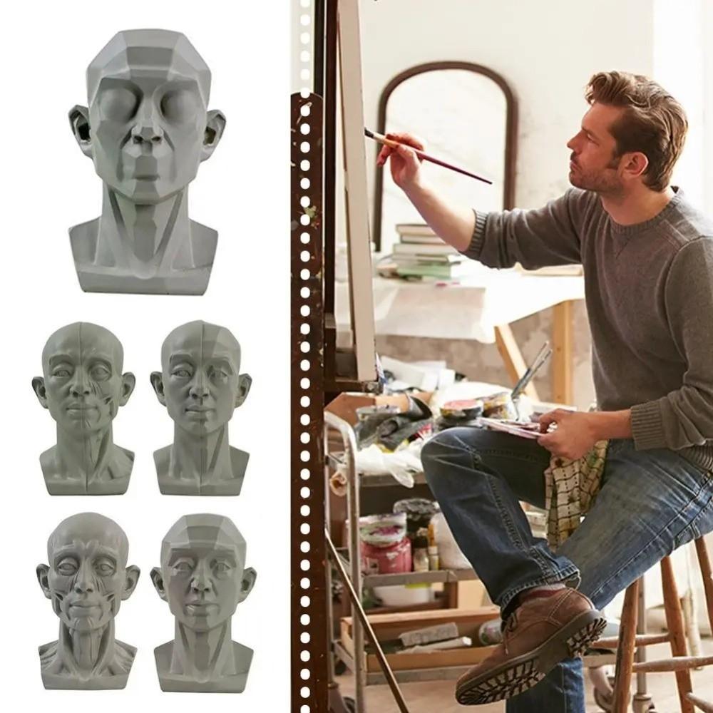 Still Life Ornament Planar Head Model Resin Skecthing Painting Sculpture  for Art Beginner