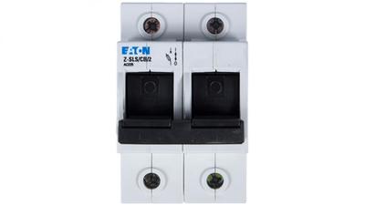 Fuse Switch 2P 63A D02 Z-SLS/CB/2 248248
