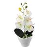 1pc Artificial Flower Orchid Flowers 27cm Height ABS Artificial