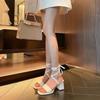 Strappy Sandals Female Summer New Fashion Thick with Temperament High Heels