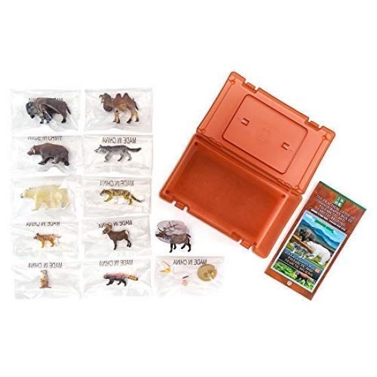 Calorata Animal Geography Zone 3 Figure 3D Encyclopedia of the Old North and New North Zones 12 Species Includes Realistic Figure Box Toy Educational