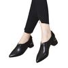 Thick heel single shoes deep mouth spring and autumn women's shoes new pointed versatile one pedal temperament leather shoes work shoes