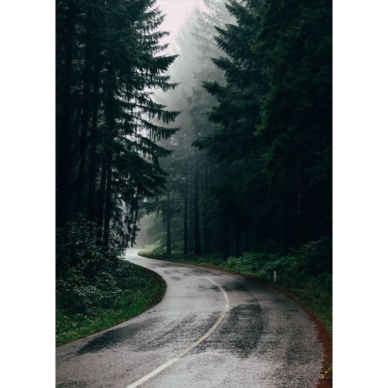 İskandinav doğal manzarası, yeşil orman, yol, dağ gölü, poster, tuval, resim, modern oturma odası için duvar sanatı,