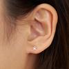 [silver925] Tiny Flower Earring