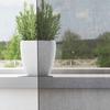 VidaXL Rideaux en voile avec œillets 2 pcs gris foncé 140x225 cm, rideau en filet, rideau transparent, voile de fenêtre, 4102079