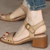 Retro Thick-heeled Sandals Women's Summer 2025 New Foreign-style Open-toed Non-slip Soft-soled One-word Buckle Women's Sandals