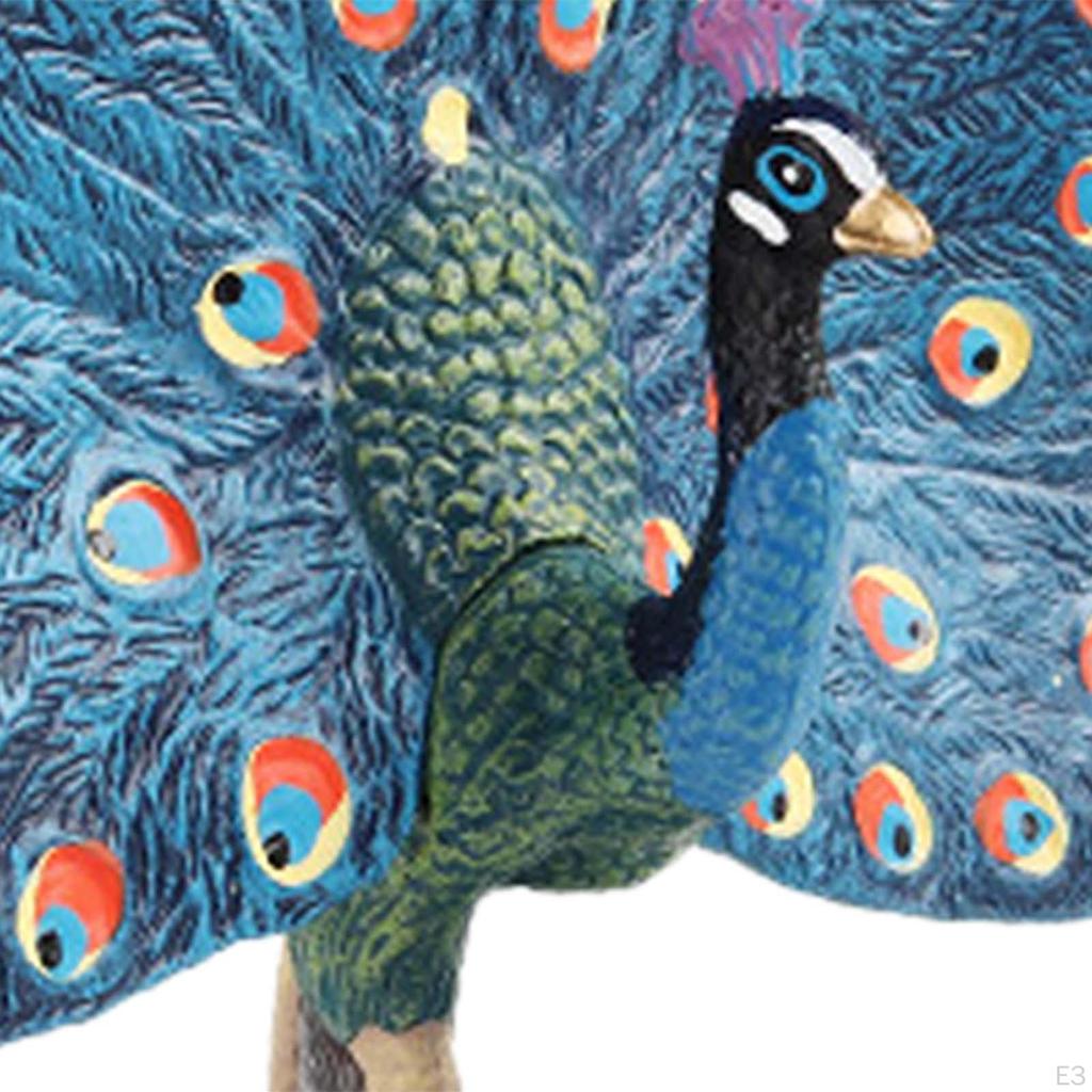 Animal Sculpture, Ornament Crafts, Kids Toy, Realistic Peacock Model, Hand Painted for Office,