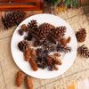 Creative Pine Cone and Spruce Christmas Ornaments - DIY Decorative Pendants & Photography Props