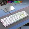 [Japanese layout] e-element mechanical gaming keyboard Adopts red axis and blue axis Full size 109 keys Type-C USB wired connection All keys anti-coll