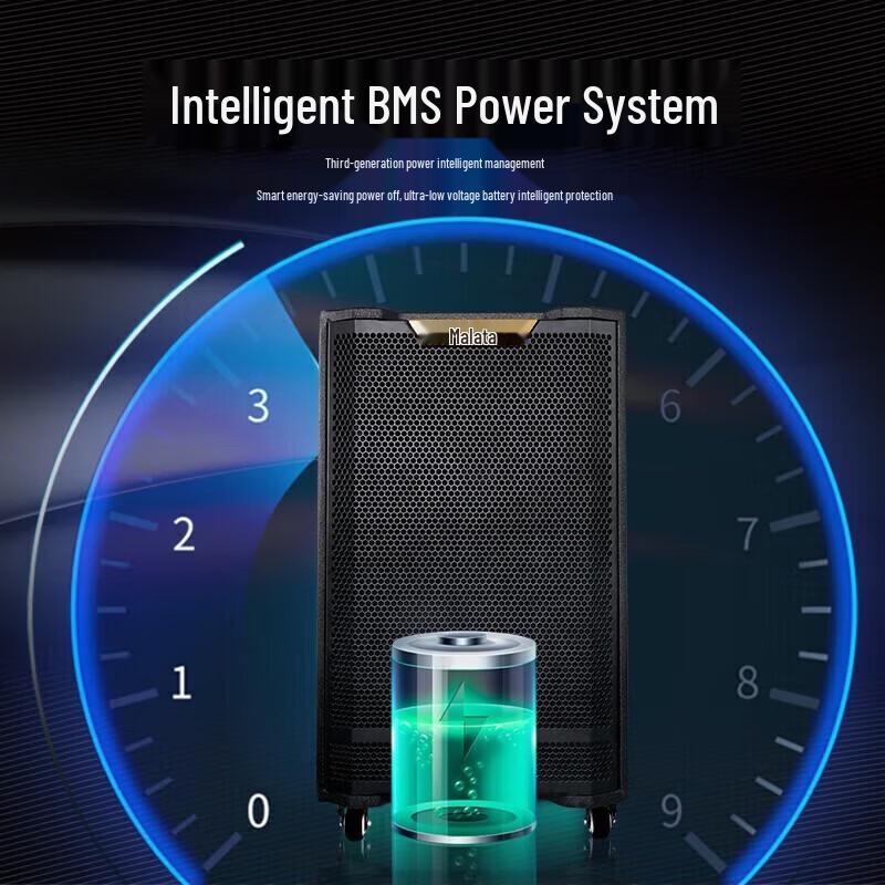 Malata Portable High-Power Karaoke Trolley Speaker