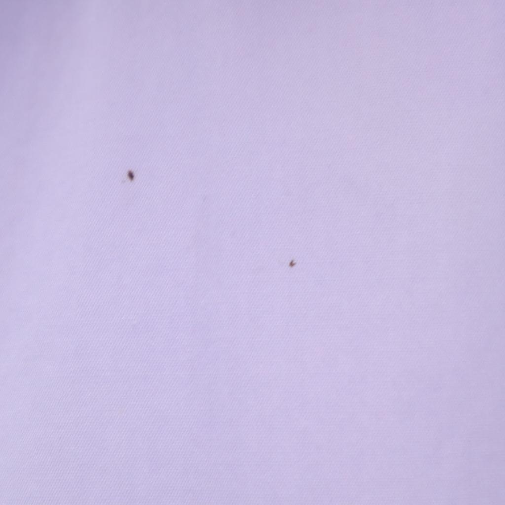 MIUMIU Made In Italy Long Sleeve Cotton Shirt 38 Purple Women Used