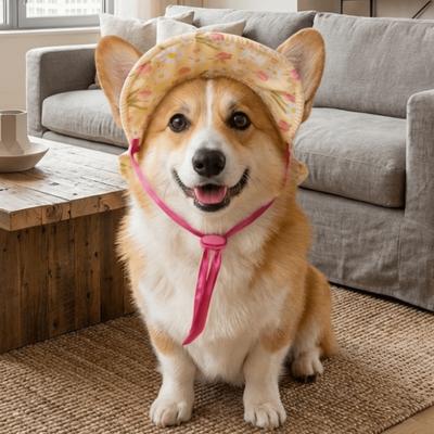 Ropa y calzado – Gorras para perros