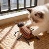 Durable Cat Toy Plush Cockroach Chew Interactive Catnip Self Play Realistic Shaped Felt for Indoor Cats Kittens Hunting Instinct