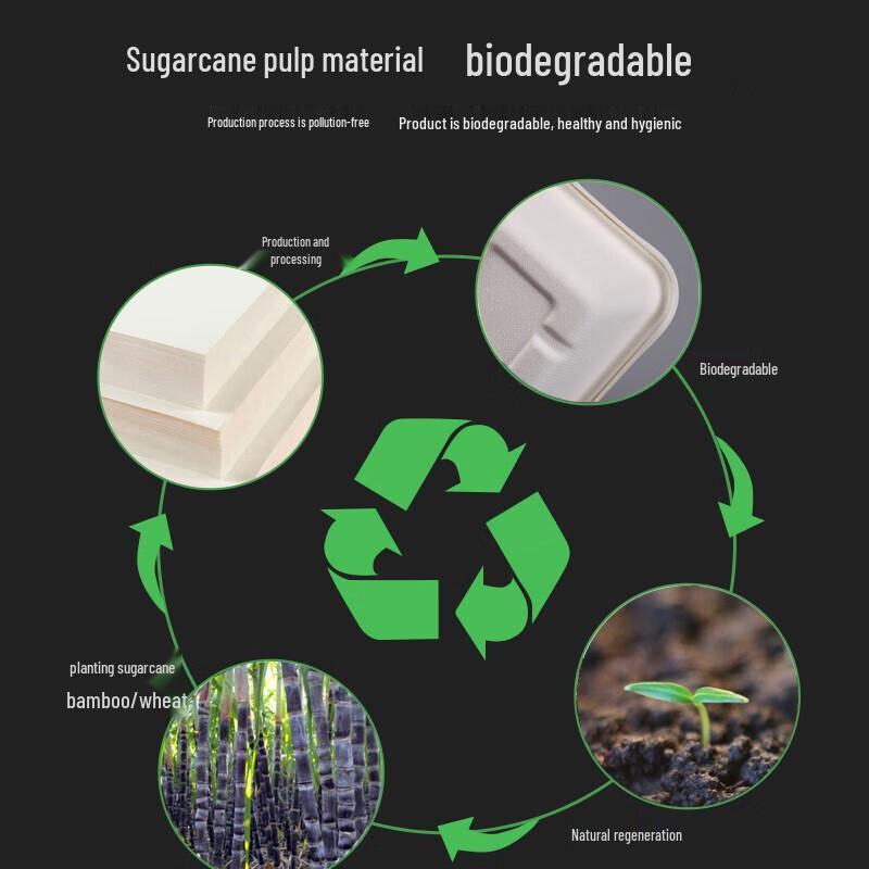 Biologisch abbaubare rechteckige Lunchboxen 600ml