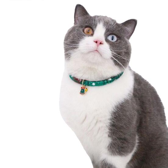 strong cat collar