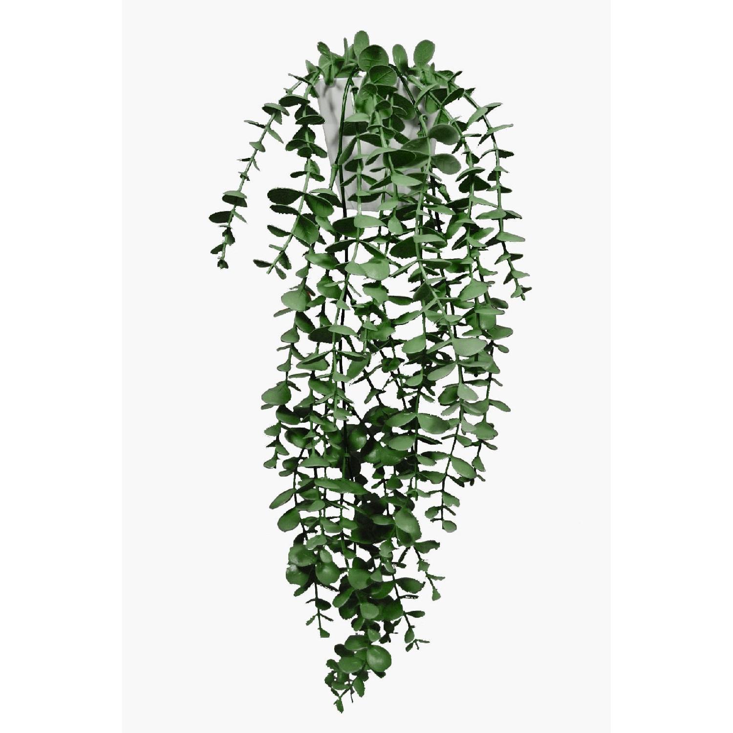 

Artificial Flower Moblen Mica Diamond Green Eucalyptus Pendant In A White Pot колір синій белл