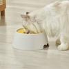 Protects Cervical Vertebrae Dog Drinking Water Bowl Non Wetting Mouth Floating Design Pet Anti Overturning Bowl Not Wet Beard