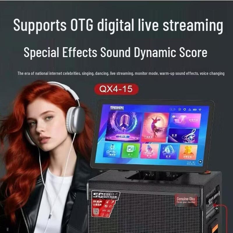 TEMEISHENG QX4 Portable Outdoor Karaoke PA Speaker System (CN version)
