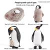Pediatric Learning Model: Plastic Animal Growth Cycles - Frog, Butterfly, Rooster, Sea Turtle, Chinese Horseshoe Crab