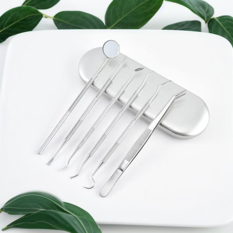 1/3/4/5Pcs Professional Dental Cleaning Kit Stainless Steel Oral Hygiene Tools, Interdental Cleaners For Thorough Teeth Cleaning