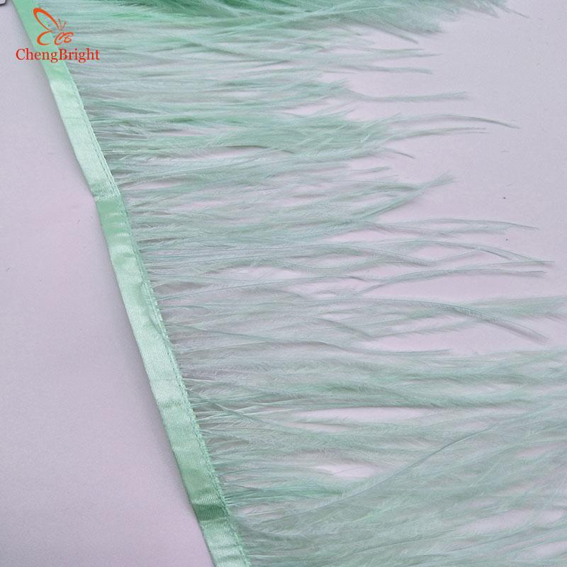 FeatherChengBright High Quality 10Yards Mint Green Ostrich Feather Ribbon Ostrich Feathers Trim Fringe Clothing Decoration