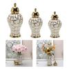 Porseleinen Ginger Jar Organizer Keramische voor Woonkamer