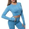 Seamless Knit Quick-Dry Running and Yoga Long Sleeve Set with Slim Fit Pants