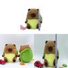 Tortoise Plush Toy With Pp Cotton Filling For Kids And Collectors