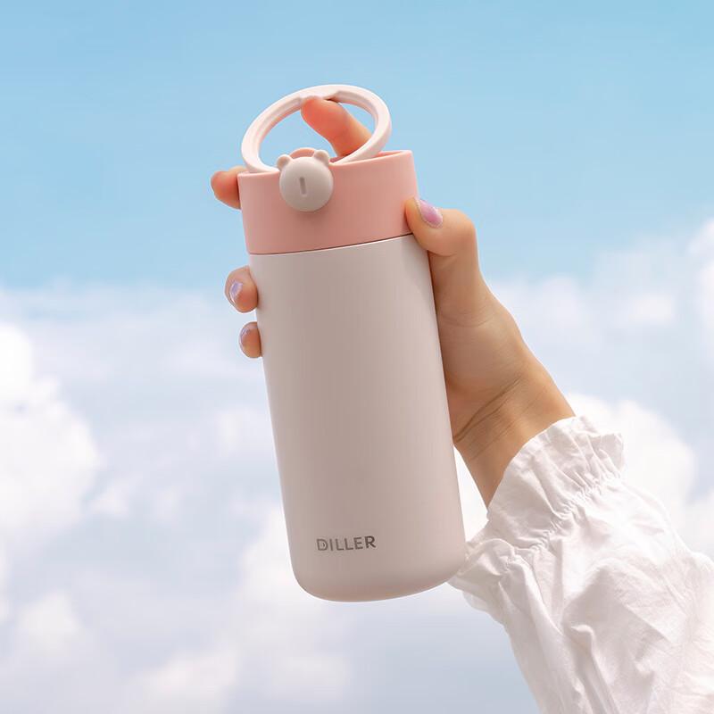 Diller 316 Edelstahl Isolierte Tragbare Flasche