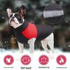 Winter Warm Cotton Coat for Golden Retrievers & Large Dogs